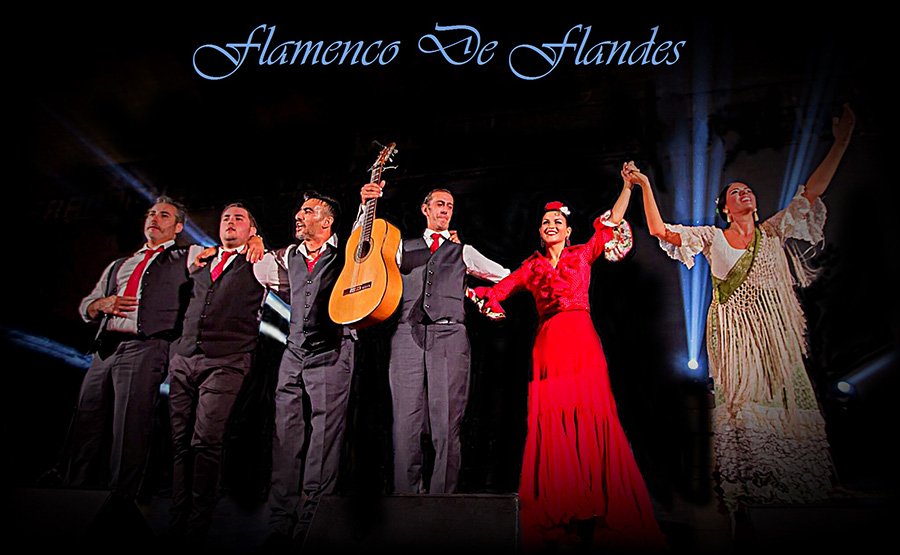 flamenco de flandes
